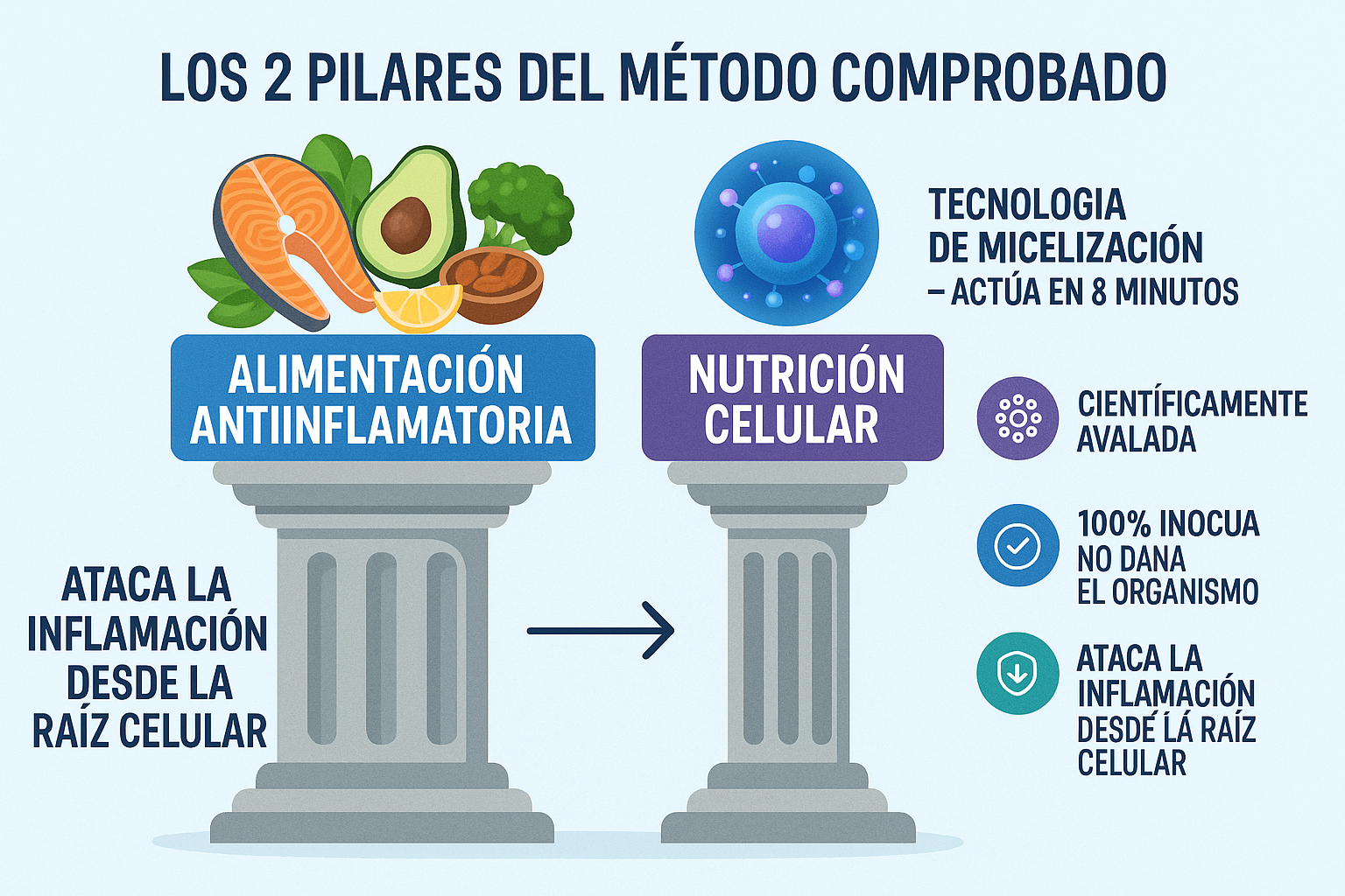 Los 2 Pilares del Método